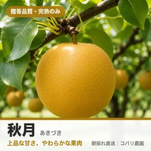梨「秋月」のイメージ（コバリ農園・贈答品質）