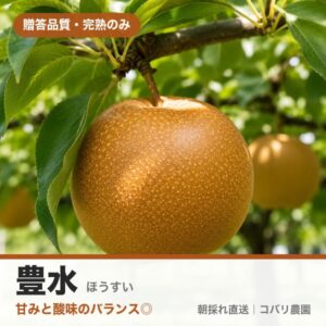 梨「豊水」のイメージ（コバリ農園・贈答品質）
